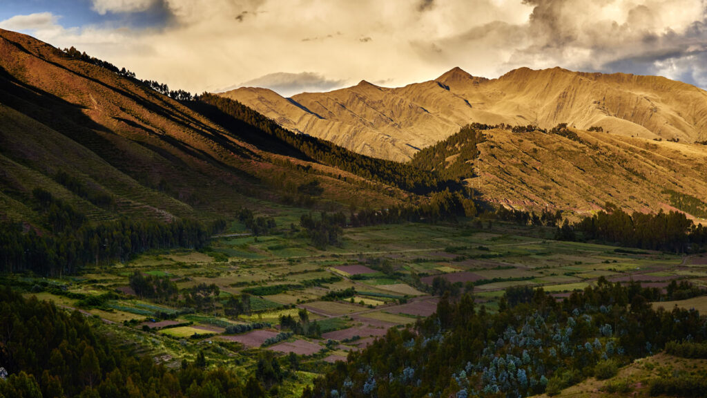 valle 1