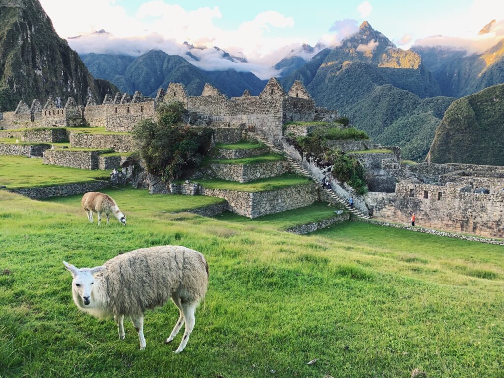 valle 4