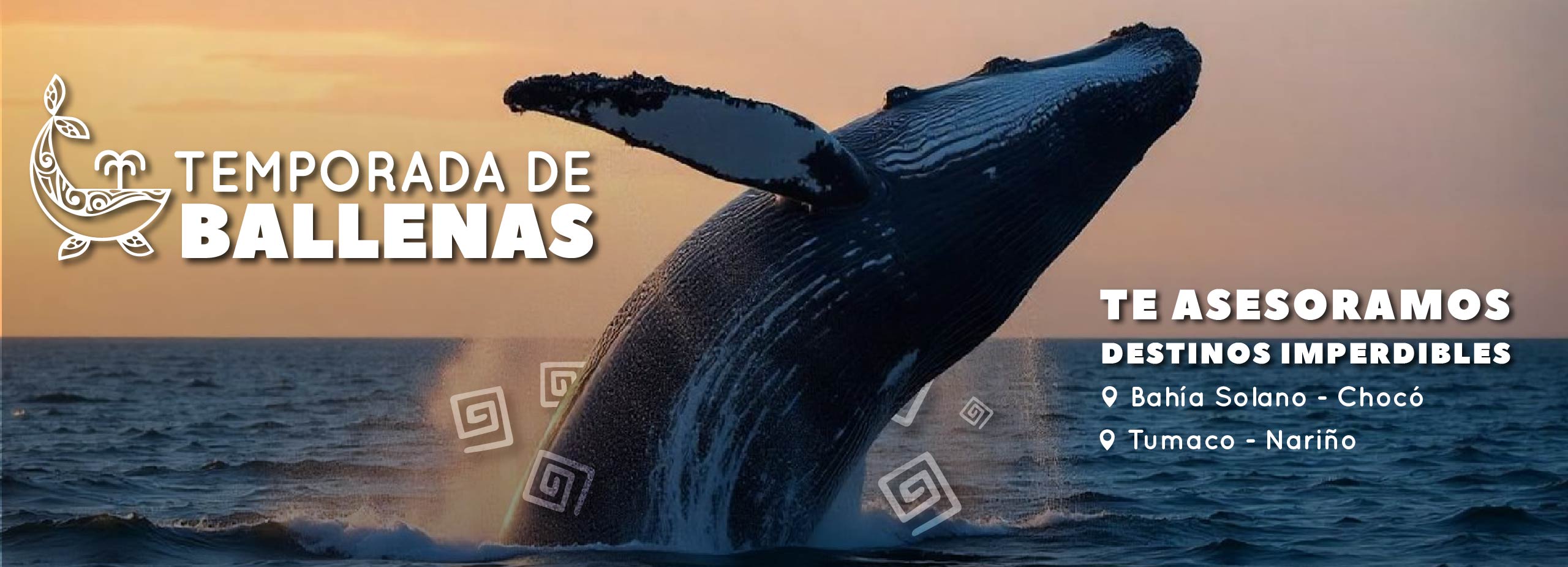 BANER MARZO 2025_baner 3