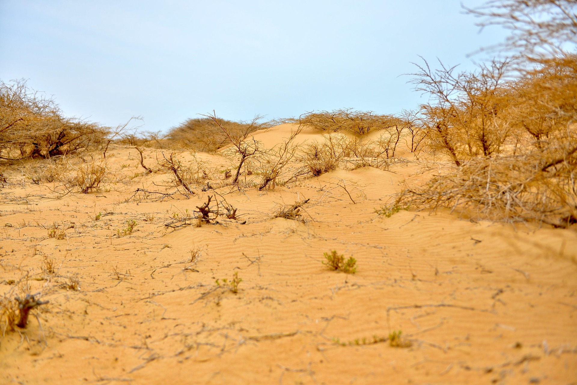 alexandrahaddadm desert 2916063 1920