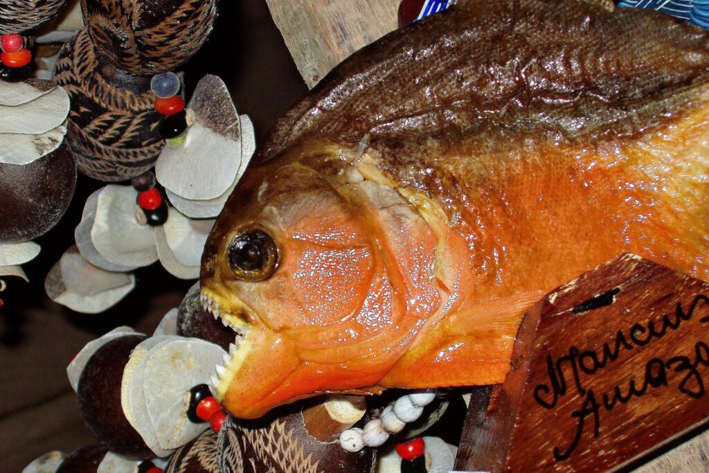 arttower piranha 51479 1920