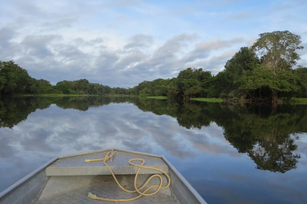 deltreehd river 1841419 1920