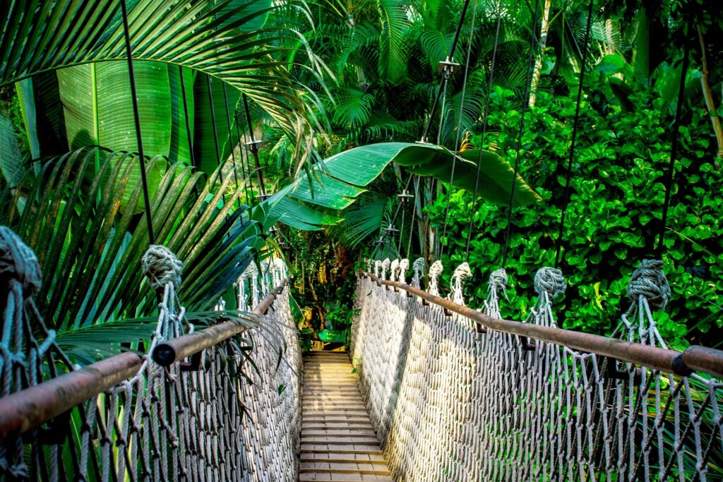 nile suspension bridge 959853 1920