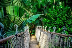 Guía turismo sostenible Amazonas | Libreta Viaggera