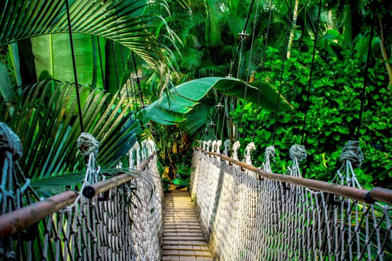 nile suspension bridge 959853 1920