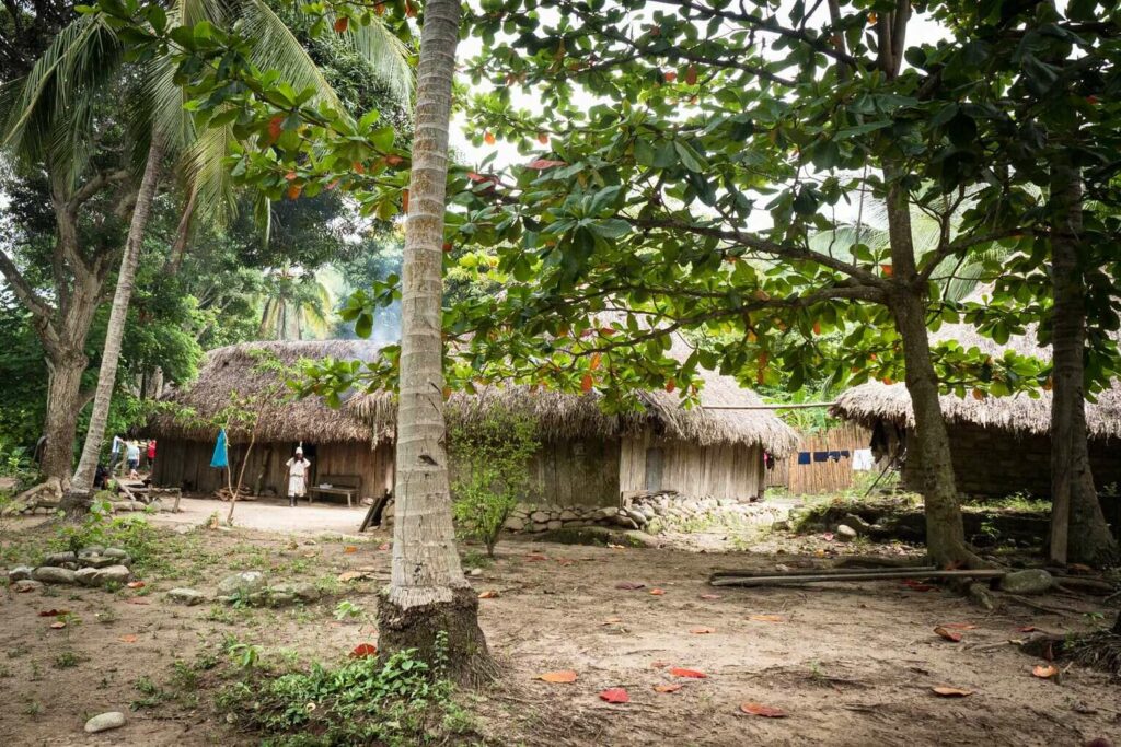 que faire a palomino en colombie 2